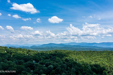 Tiny photo for 6011 Ohio St, Tallassee, TN 37878 (MLS # 1359289)