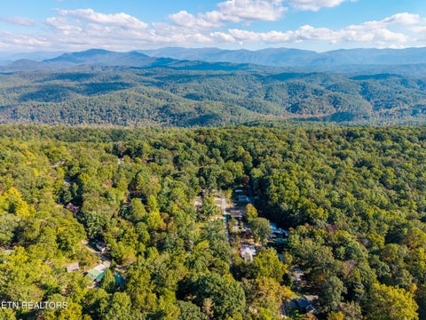 Tiny photo for 6011 Ohio St, Tallassee, TN 37878 (MLS # 1359289)
