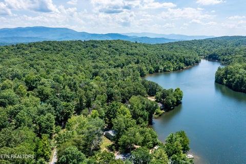 Tiny photo for 6011 Ohio St, Tallassee, TN 37878 (MLS # 1359289)