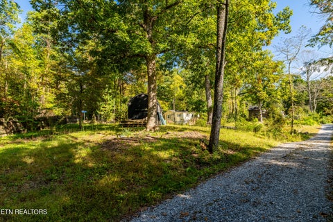 Tiny photo for 6011 Ohio St, Tallassee, TN 37878 (MLS # 1359289)
