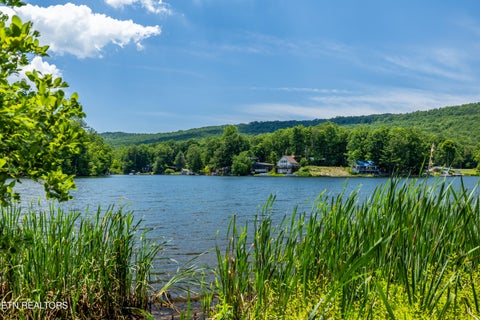 Tiny photo for 6011 Ohio St, Tallassee, TN 37878 (MLS # 1359289)