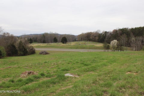 Tiny photo for 00 Rhea County Hwy, Dayton, TN 37321 (MLS # 1343258)