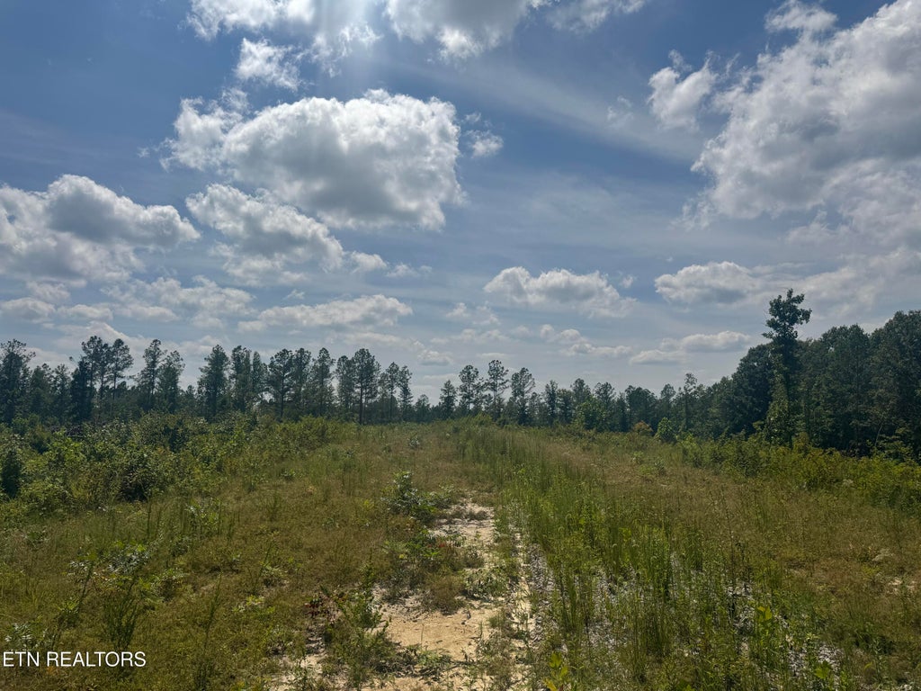 Photo of 12 Burrville Rd, Sunbright, TN 37872 (MLS # 1351520)