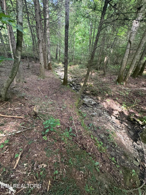 Tiny photo for 12 Burrville Rd, Sunbright, TN 37872 (MLS # 1351520)