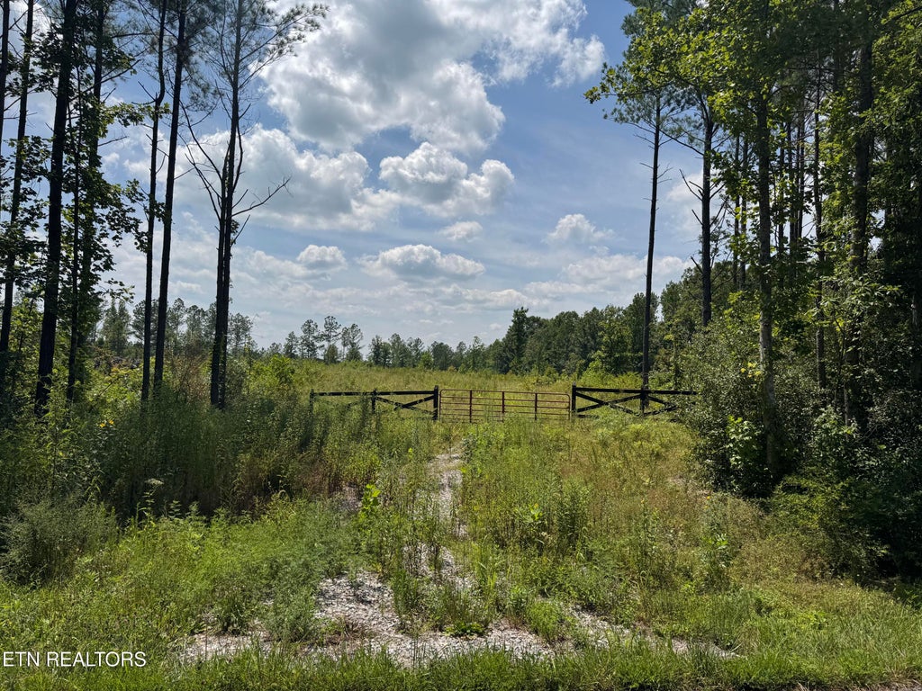 Photo of 12 Burrville Rd, Sunbright, TN 37872 (MLS # 1351520)