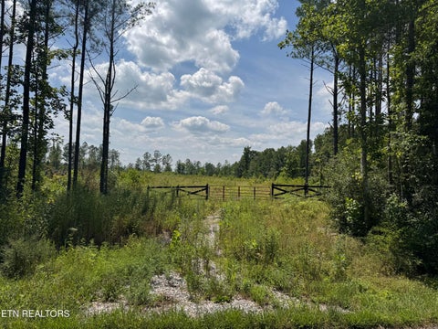 Tiny photo for 12 Burrville Rd, Sunbright, TN 37872 (MLS # 1351520)