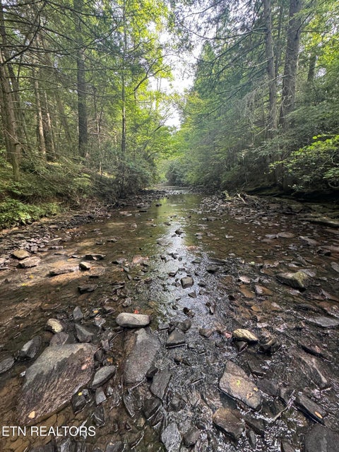 Tiny photo for 12 Burrville Rd, Sunbright, TN 37872 (MLS # 1351520)