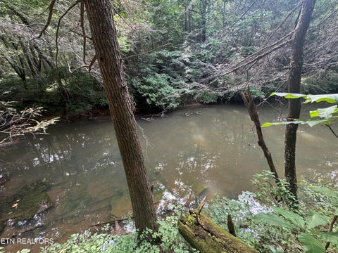 Tiny photo for 12 Burrville Rd, Sunbright, TN 37872 (MLS # 1351520)