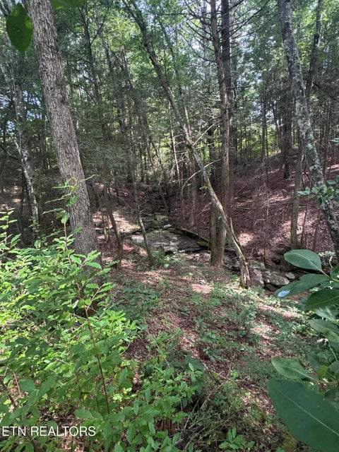 Tiny photo for 12 Burrville Rd, Sunbright, TN 37872 (MLS # 1351520)