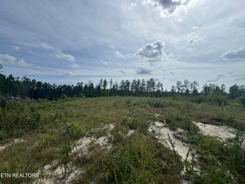 Tiny photo for 12 Burrville Rd, Sunbright, TN 37872 (MLS # 1351520)