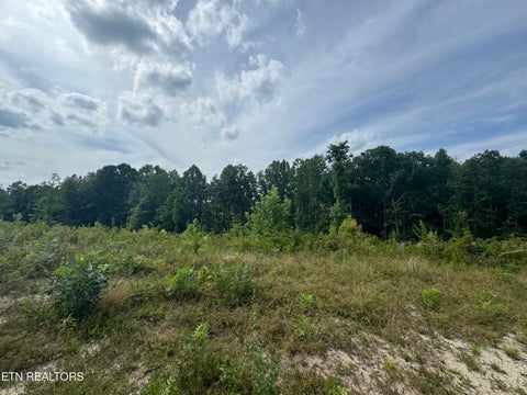 Tiny photo for 12 Burrville Rd, Sunbright, TN 37872 (MLS # 1351520)