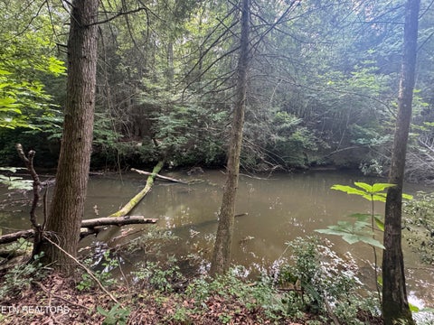 Tiny photo for 12 Burrville Rd, Sunbright, TN 37872 (MLS # 1351520)