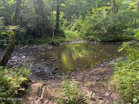 Tiny photo for 12 Burrville Rd, Sunbright, TN 37872 (MLS # 1351520)