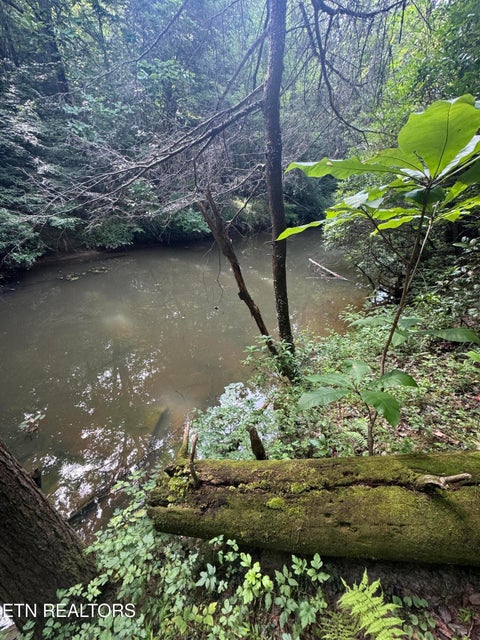 Tiny photo for 12 Burrville Rd, Sunbright, TN 37872 (MLS # 1351520)
