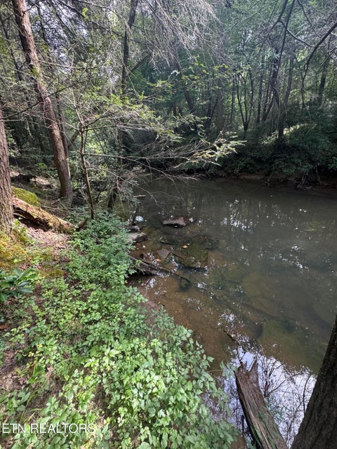 Tiny photo for 12 Burrville Rd, Sunbright, TN 37872 (MLS # 1351520)