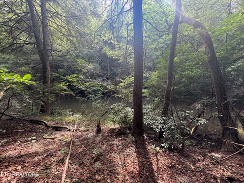Tiny photo for 12 Burrville Rd, Sunbright, TN 37872 (MLS # 1351520)
