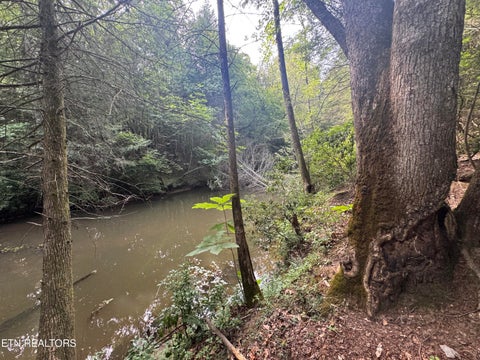 Tiny photo for 12 Burrville Rd, Sunbright, TN 37872 (MLS # 1351520)