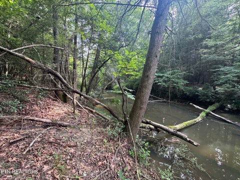 Tiny photo for 12 Burrville Rd, Sunbright, TN 37872 (MLS # 1351520)