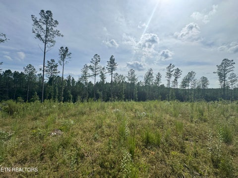 Tiny photo for 12 Burrville Rd, Sunbright, TN 37872 (MLS # 1351520)