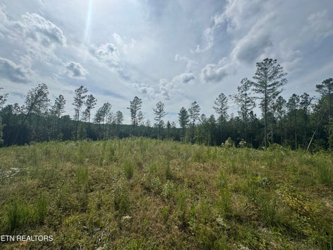 Tiny photo for 12 Burrville Rd, Sunbright, TN 37872 (MLS # 1351520)