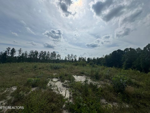 Tiny photo for 12 Burrville Rd, Sunbright, TN 37872 (MLS # 1351520)