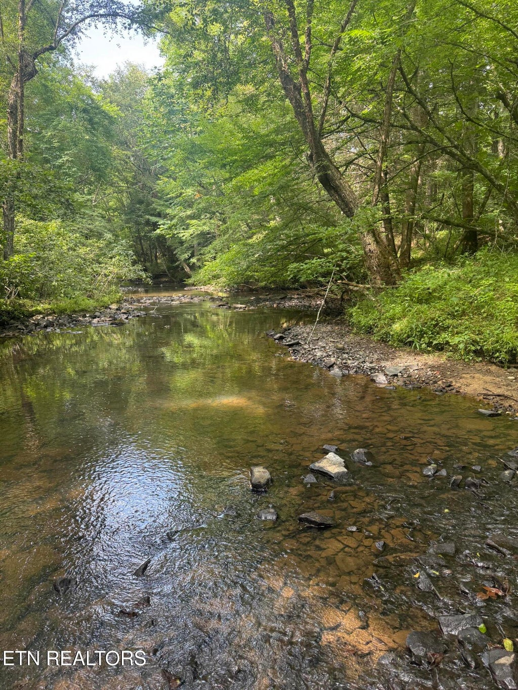Photo of 12 Burrville Rd, Sunbright, TN 37872 (MLS # 1351520)