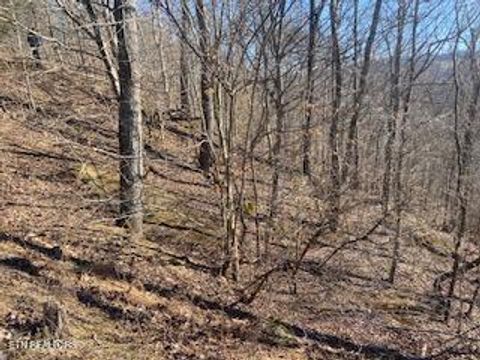 Tiny photo for 875 Clear Water Rd, New Tazewell, TN 37825 (MLS # 1326475)
