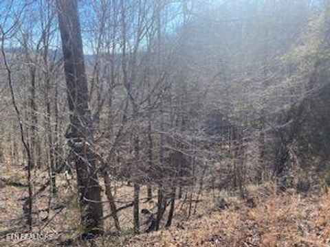 Tiny photo for 875 Clear Water Rd, New Tazewell, TN 37825 (MLS # 1326475)