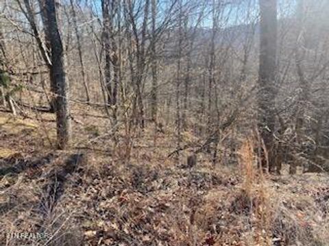 Tiny photo for 875 Clear Water Rd, New Tazewell, TN 37825 (MLS # 1326475)