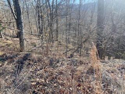 Tiny photo for 875 Clear Water Rd, New Tazewell, TN 37825 (MLS # 1326475)