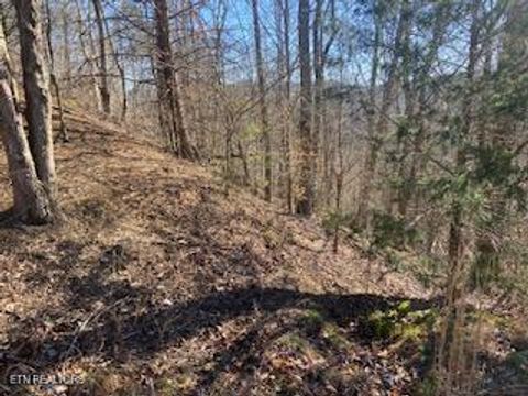 Tiny photo for 875 Clear Water Rd, New Tazewell, TN 37825 (MLS # 1326475)