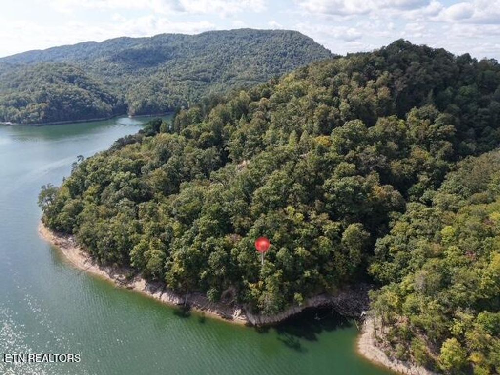 Photo of 875 Clear Water Rd, New Tazewell, TN 37825 (MLS # 1326475)