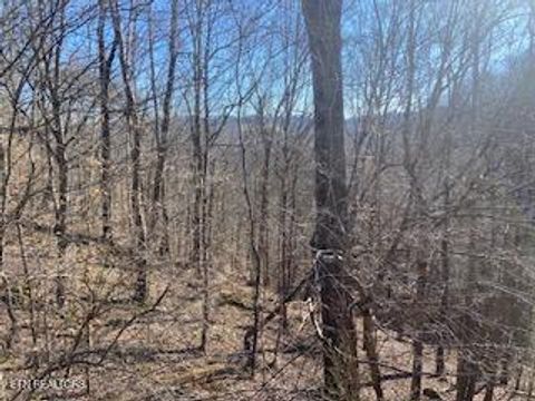 Tiny photo for 875 Clear Water Rd, New Tazewell, TN 37825 (MLS # 1326475)