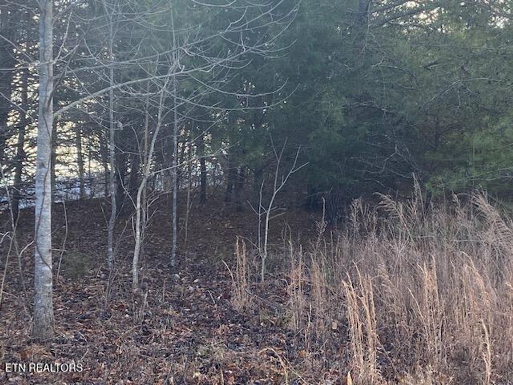 Photo of 875 Clear Water Rd, New Tazewell, TN 37825 (MLS # 1326475)