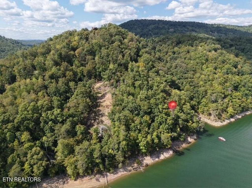 Photo of 875 Clear Water Rd, New Tazewell, TN 37825 (MLS # 1326475)