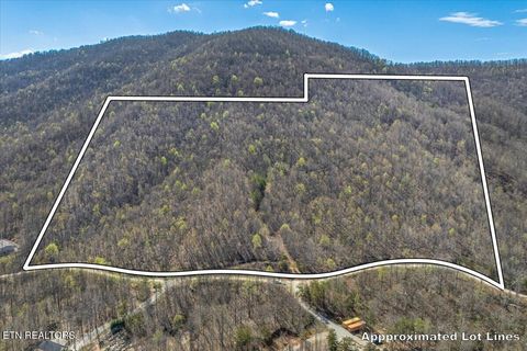Photo of 422 Crooked Branch Rd, Huntsville, TN 37756 (MLS # 1335840)