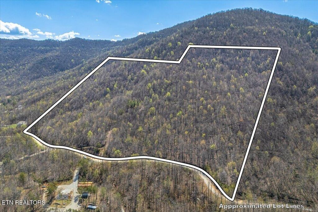 Photo of 422 Crooked Branch Rd, Huntsville, TN 37756 (MLS # 1335840)
