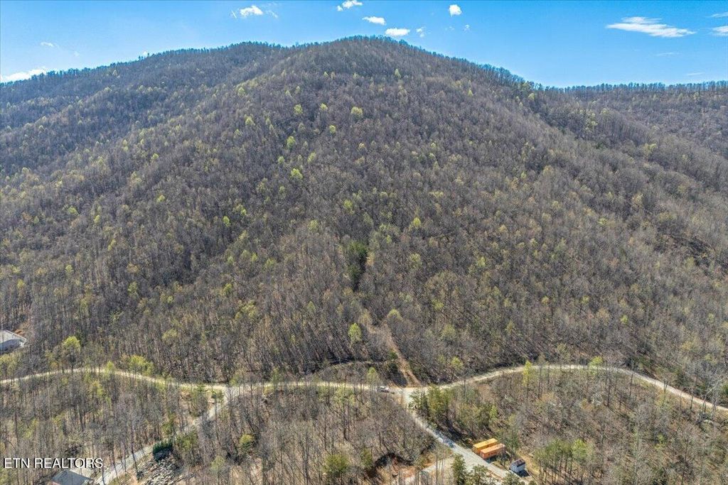 Photo of 422 Crooked Branch Rd, Huntsville, TN 37756 (MLS # 1335840)