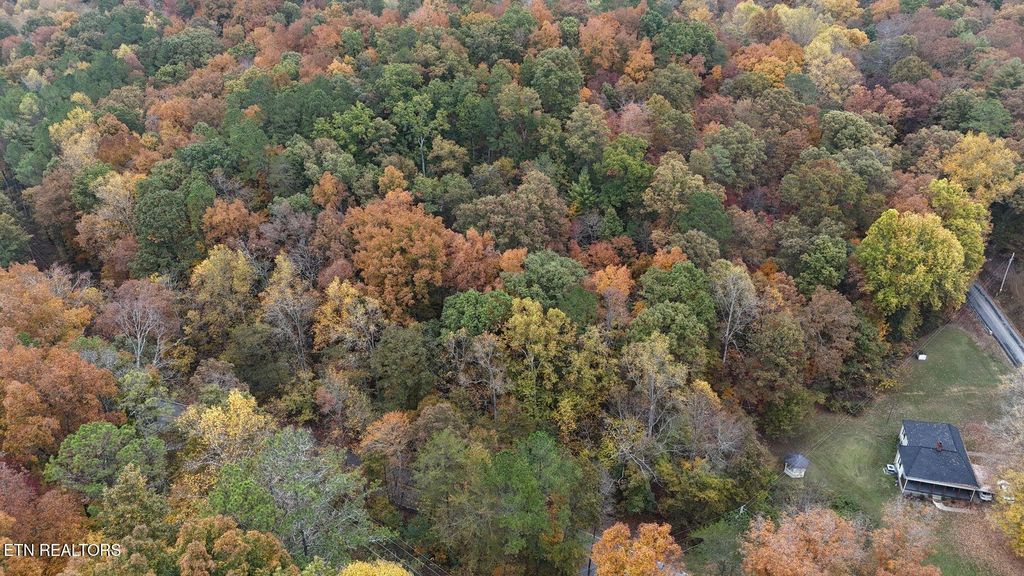 Photo of 000 NW Lower River Rd, Georgetown, TN 37336 (MLS # 1330651)