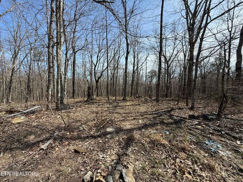 Photo of 69 E Log Rd, Spring City, TN 37381 (MLS # 1335470)