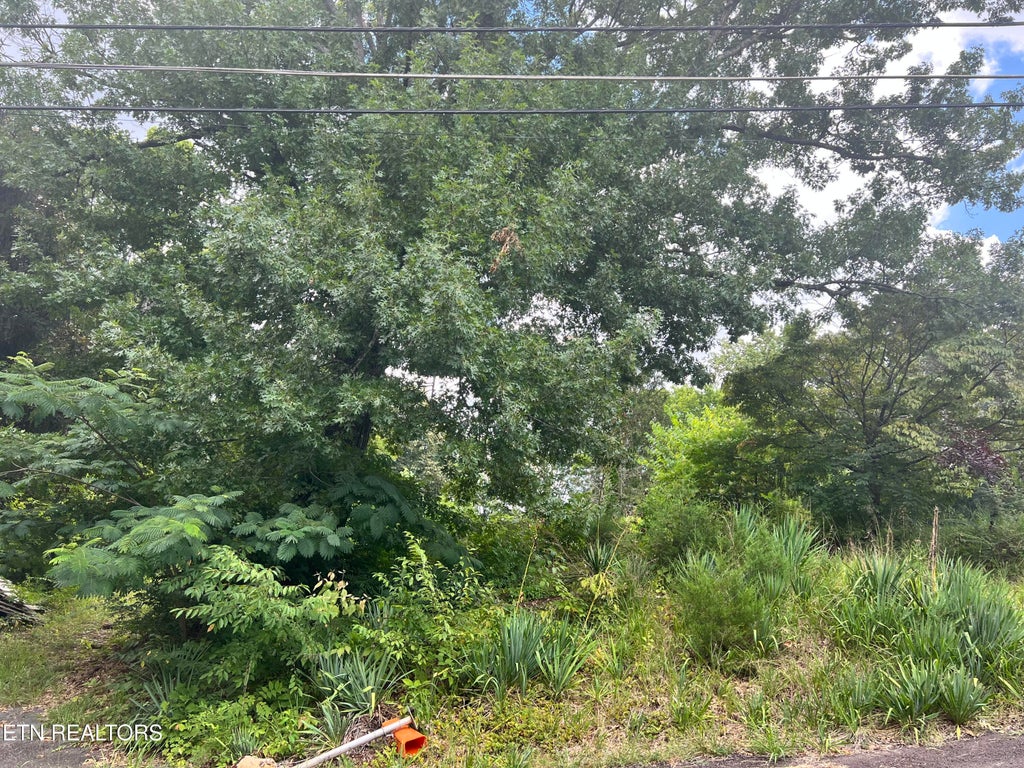 Photo of 823 Gresham Rd, Knoxville, TN 37918 (MLS # 1310312)