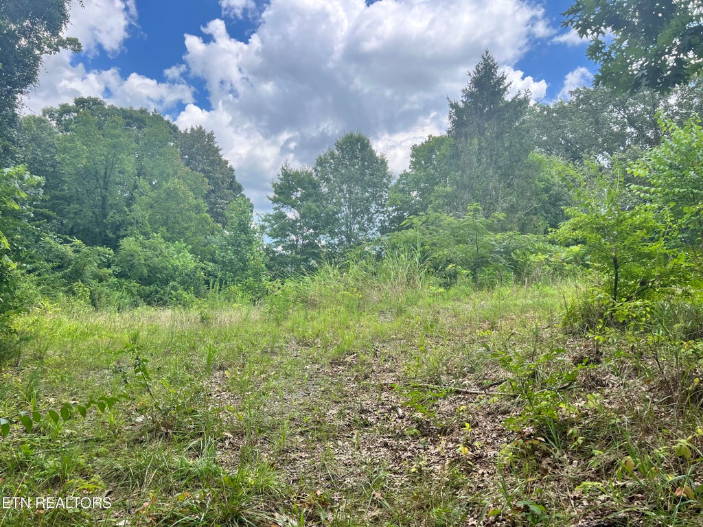 Photo of 823 Gresham Rd, Knoxville, TN 37918 (MLS # 1310312)