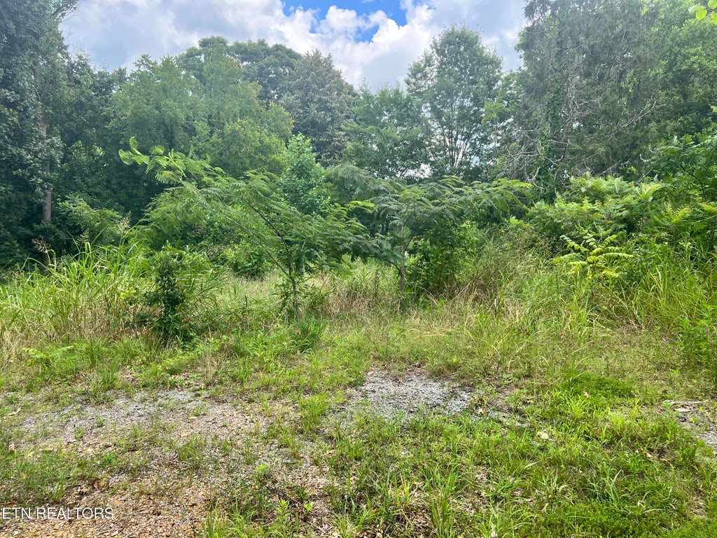Photo of 823 Gresham Rd, Knoxville, TN 37918 (MLS # 1310312)