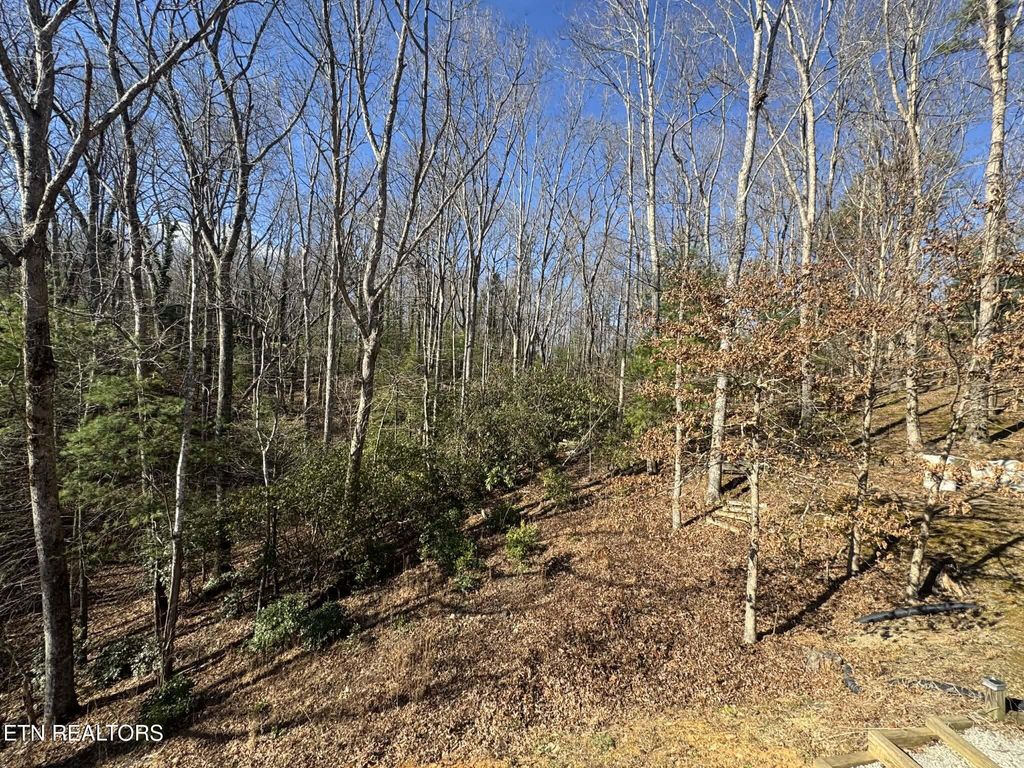 Photo of 500 Old Furnace Rd, Tellico Plains, TN 37385 (MLS # 1331103)