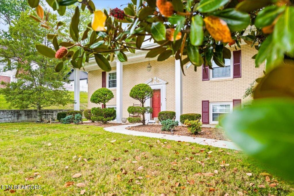 Photo of 301 Wheeler Lane, LaFollette, TN 37766 (MLS # 1328172)