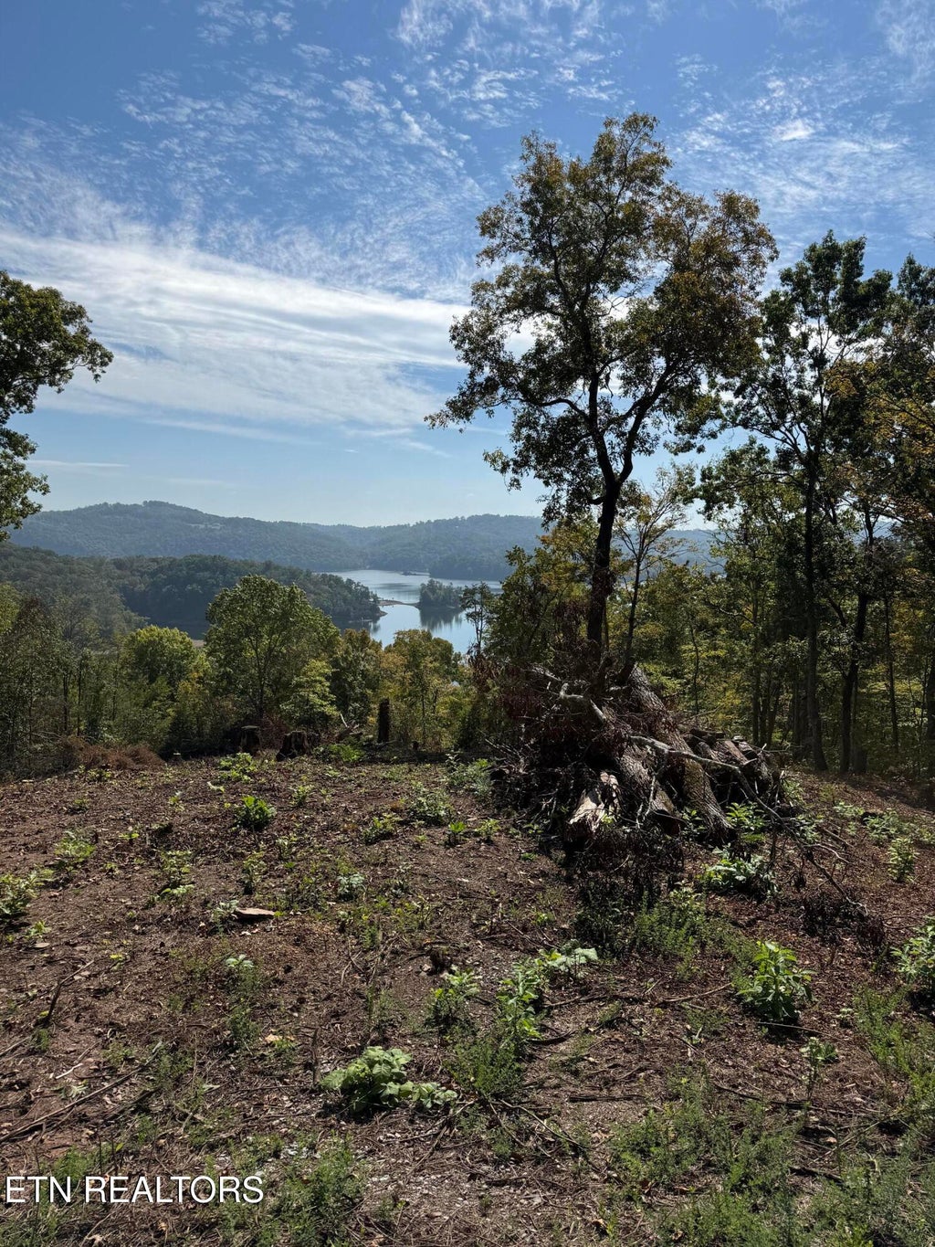 Photo of 264 Lakeview Drive, Sharps Chapel, TN 37866 (MLS # 1358824)