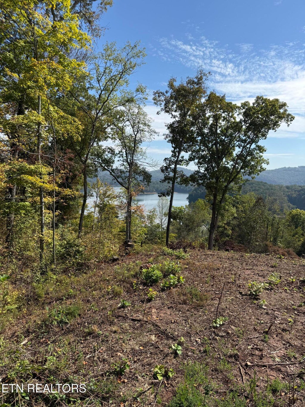 Photo of 264 Lakeview Drive, Sharps Chapel, TN 37866 (MLS # 1358824)