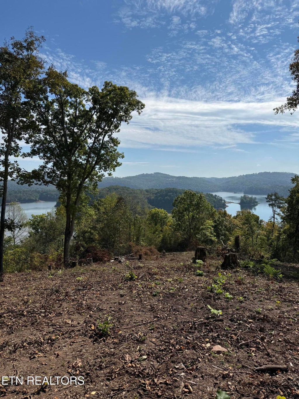 Photo of 264 Lakeview Drive, Sharps Chapel, TN 37866 (MLS # 1358824)