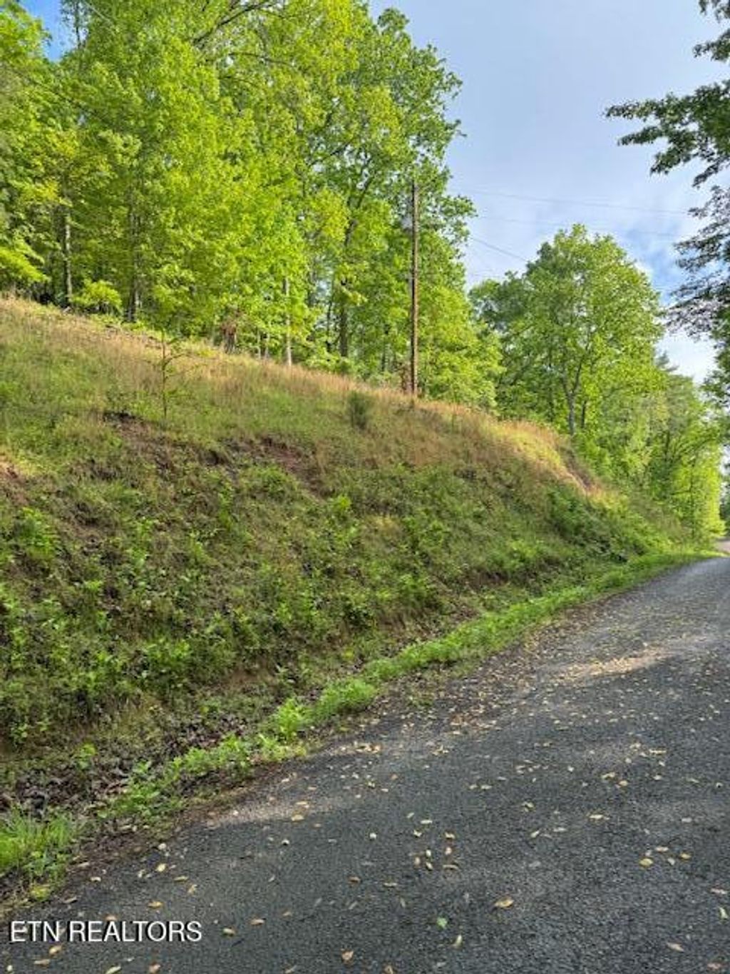 Photo of 543 Rockview Drive, Spring City, TN 37381 (MLS # 1300328)