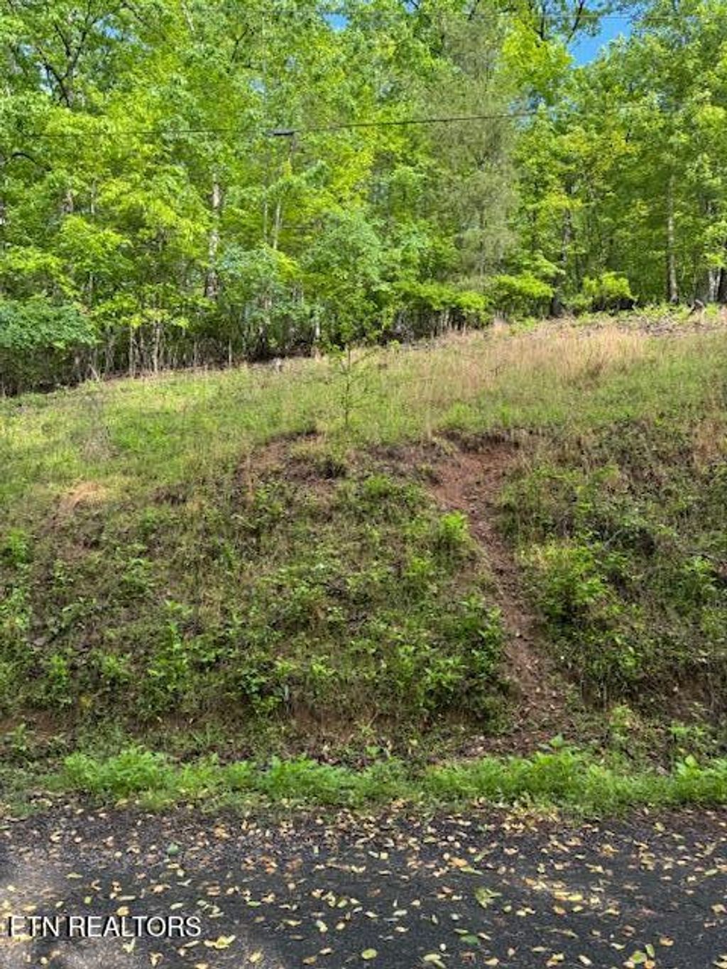 Photo of 543 Rockview Drive, Spring City, TN 37381 (MLS # 1300328)